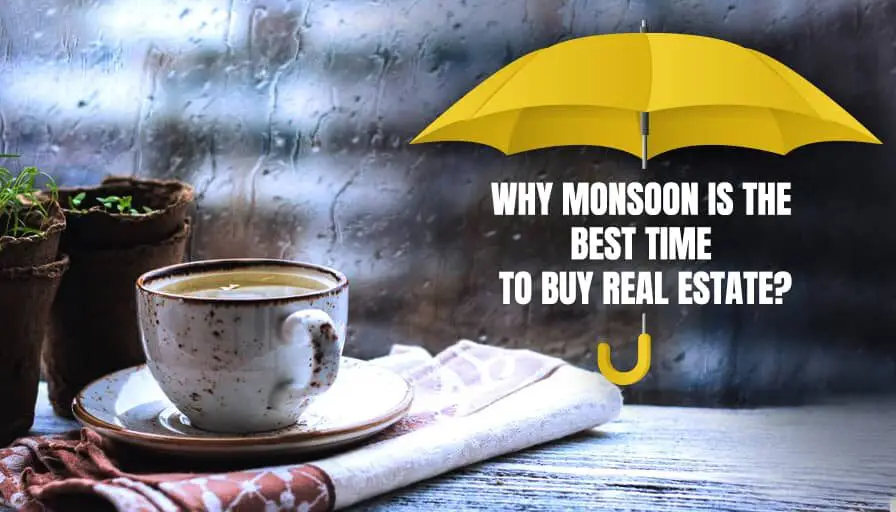 Why Is Monsoon the Best Time to Invest?